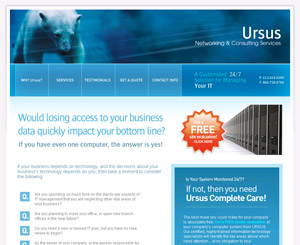 Ursus Networking & Consulting Services